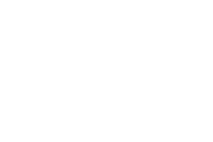 Audaz Group